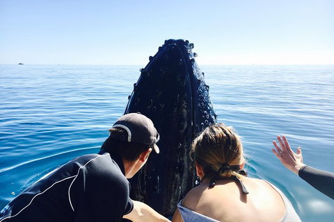 Remote Fraser Island Experience - Whitsundays Accommodation 12