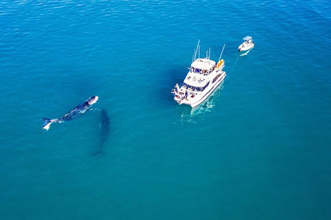 Remote Fraser Island Experience - Whitsundays Accommodation 11