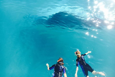 Remote Fraser Island Experience - Whitsundays Accommodation 10