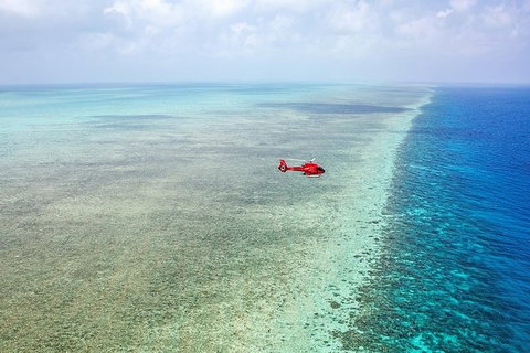 Ultimate Great Barrier Reef And Rainforest 45-minute Helicopter Tour - Whitsundays Accommodation 5