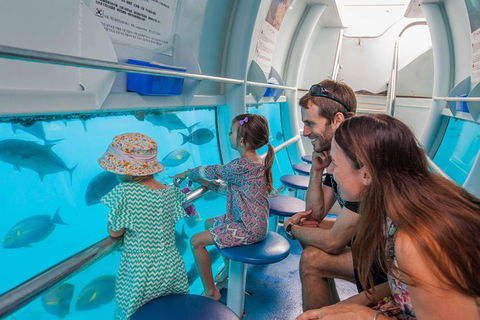 Scenic Helicopter Flight To Moore Reef And Return Snorkeling Cruise From Cairns - Whitsundays Accommodation 4