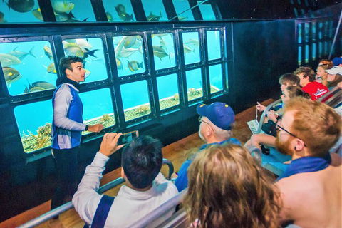 Scenic Helicopter Flight To Moore Reef And Return Snorkeling Cruise From Cairns - Whitsundays Accommodation 7