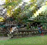 The Original Day Tour to Paronella Park Lake Barrine and Millaa Millaa Falls - Whitsundays Accommodation