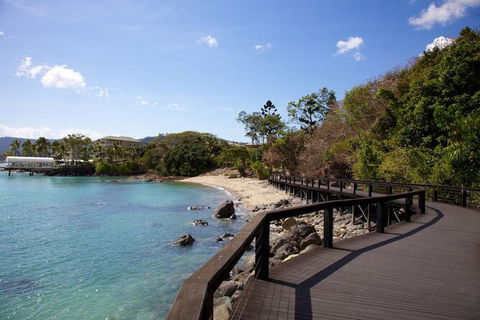 Rainforest To Reef Experience - Reef And Beyond Guided Holidays - Whitsundays Accommodation 4