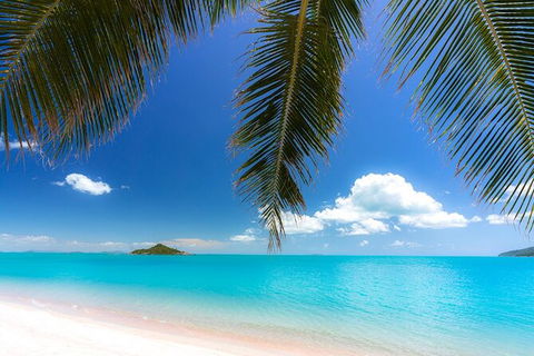 Rainforest To Reef Experience - Reef And Beyond Guided Holidays - Whitsundays Accommodation 1