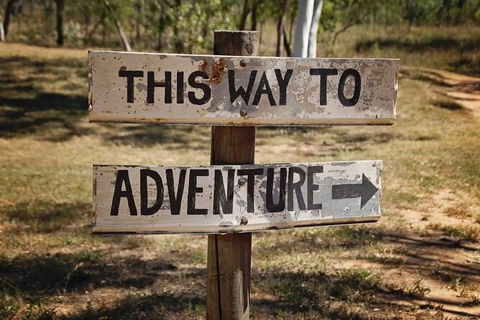 Rainforest To Reef Experience - Reef And Beyond Guided Holidays - Whitsundays Accommodation 6