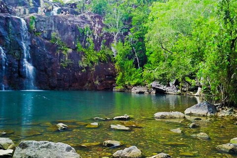 Rainforest To Reef Experience - Reef And Beyond Guided Holidays - Whitsundays Accommodation 5