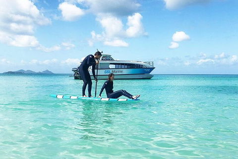 Rainforest To Reef Experience - Reef And Beyond Guided Holidays - Whitsundays Accommodation 3