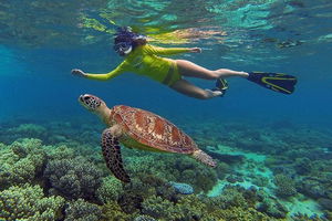3 Day Cape Tribulation and Great Barrier Reef Package