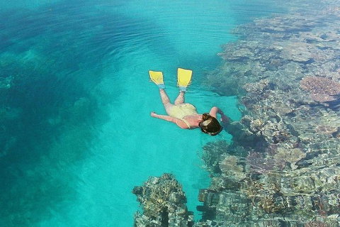 Great Barrier Reef Private Expedition Cruise (min 4 Day Max 8 Guests) - Whitsundays Accommodation 6