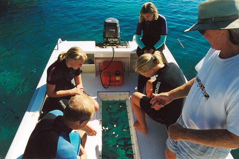Great Barrier Reef Private Expedition Cruise (min 4 Day Max 8 Guests) - Whitsundays Accommodation 1