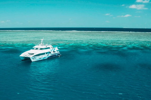 Australia East Coast: End Of Semester - Whitsundays Accommodation 1