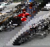 Unique vehicle tour around Brisbane - Whitsundays Accommodation