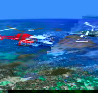 2 Day Reef  Rainforest Adventure - Whitsundays Accommodation