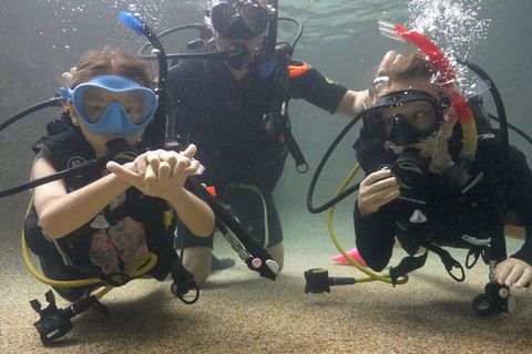 Scuba Kids- Padi Bubblemaker Course - Whitsundays Accommodation 4