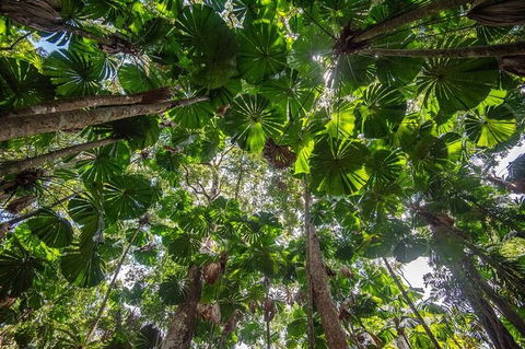5 Day Australia Retreat: Queensland Daintree - Whitsundays Accommodation 4