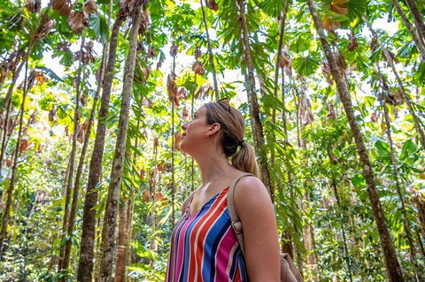 5 Day Australia Retreat: Queensland Daintree - Whitsundays Accommodation 3