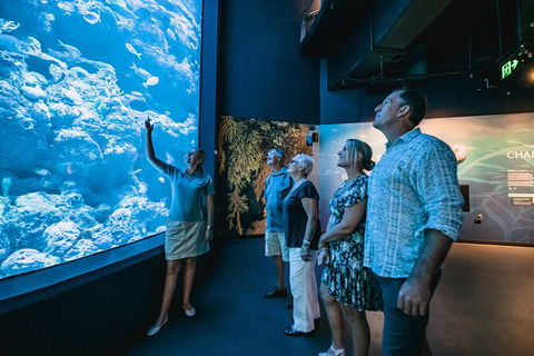 Cairns Aquarium By Twilight With 3 Course Dinner - Whitsundays Accommodation 0