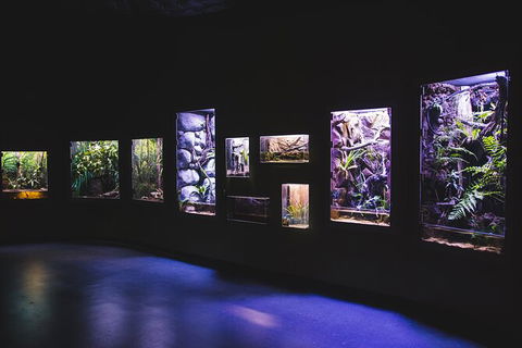 Cairns Aquarium By Twilight With 3 Course Dinner - Whitsundays Accommodation 3