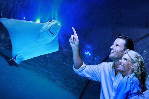 Cairns Aquarium Tour By Twilight With Drink And Appetiser - Whitsundays Accommodation 0