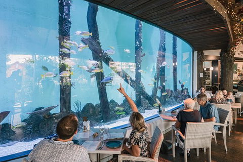Cairns Aquarium Tour By Twilight With Drink And Appetiser - Whitsundays Accommodation 1