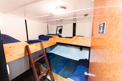 2 Night Whitsunday Islands Cruise On Atlantic Clipper From Airlie Beach - Whitsundays Accommodation 1