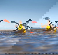 Kangaroo Island Self-Guided Kayaking on the Harriet River - Whitsundays Accommodation