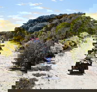 Quad Bike ATV Tours - Whitsundays Accommodation