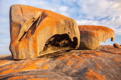 Kangaroo Island Luxury Small Group \'Flinders Chase Focus\' Full Day Tour - Whitsundays Accommodation 1