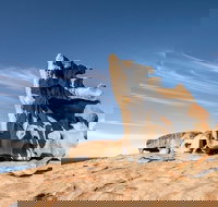 Kangaroo Island Luxury Small Group 'Flinders Chase Focus' Full Day Tour - Whitsundays Accommodation