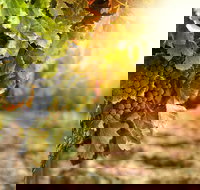 Kangaroo Island Half Day Food and Wine Trail Tour - Whitsundays Accommodation