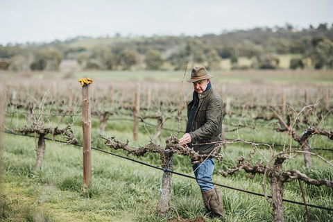 Armagh Vineyard Exclusive Wine Experience And Lunch - Whitsundays Accommodation 0