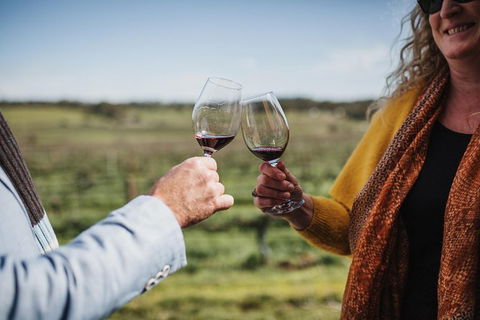 Armagh Vineyard Exclusive Wine Experience And Lunch - Whitsundays Accommodation 1