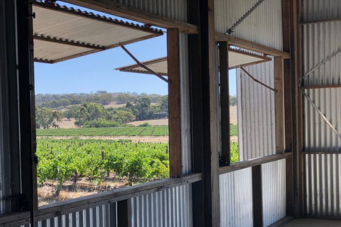 Armagh Vineyard Exclusive Wine Experience And Lunch - Whitsundays Accommodation 5