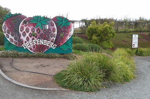 Adelaide Hills Regional / Hahndorf German Village Tour - Whitsundays Accommodation 6