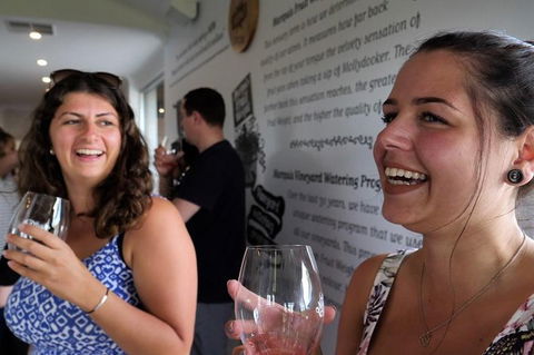 Luke\'s Wine Tour - Whitsundays Accommodation 6