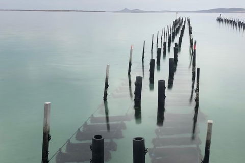 Coffin Bay Oysters, Ocean & Nature Tour - Whitsundays Accommodation 15