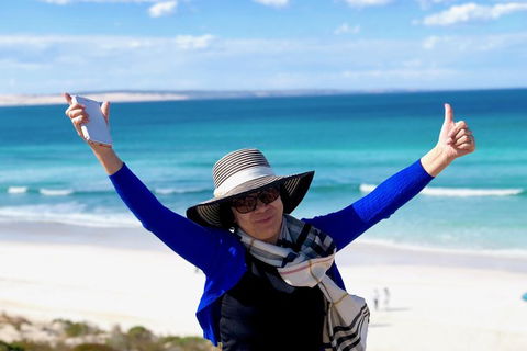Coffin Bay Oysters, Ocean & Nature Tour - Whitsundays Accommodation 11