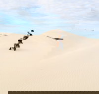 Kangaroo Island 2 Hour Bike Tour - Whitsundays Accommodation