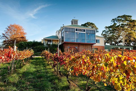 Adelaide Hills Food, Wine, Cheese, & Chocolate - Private Day Tour - Whitsundays Accommodation 7