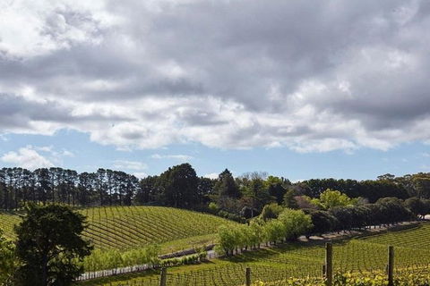 Adelaide Hills Full Day Winery Tour With Tastings - Whitsundays Accommodation 4