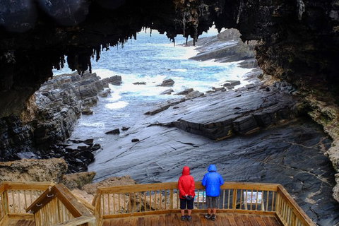 Full-Day Kangaroo Island Safari From Penneshaw - Whitsundays Accommodation 1