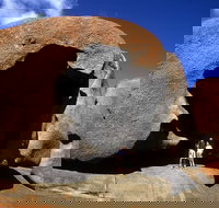 Full-Day Kangaroo Island Safari from Penneshaw - Whitsundays Accommodation