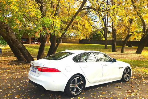 Luxury Jaguar Barossa Valley Half Day Private Tour For 2 - Whitsundays Accommodation 0