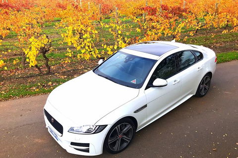 Luxury Jaguar Barossa Valley Half Day Private Tour For 2 - Whitsundays Accommodation 2