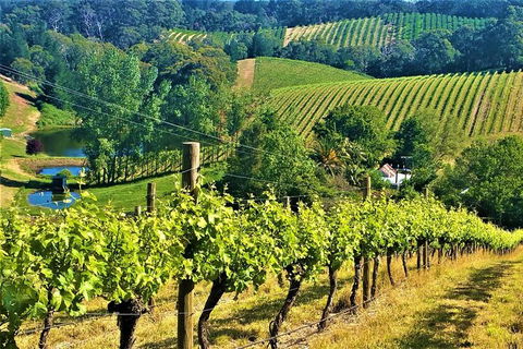Adelaide Hills Private Day Tour - Whitsundays Accommodation 0