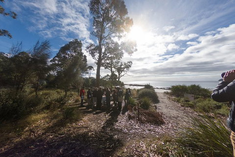 Bruny Island Day Tour, Includes Lunch And Exclusive Lighthouse Tour - Whitsundays Accommodation 15