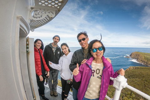 Bruny Island Day Tour, Includes Lunch And Exclusive Lighthouse Tour - Whitsundays Accommodation 10