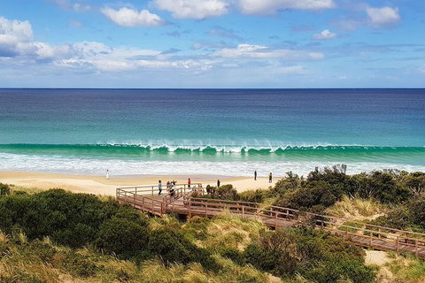 Bruny Island Day Tour, Includes Lunch And Exclusive Lighthouse Tour - Whitsundays Accommodation 4