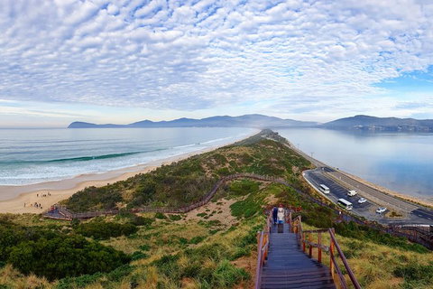 Bruny Island Day Tour, Includes Lunch And Exclusive Lighthouse Tour - Whitsundays Accommodation 16